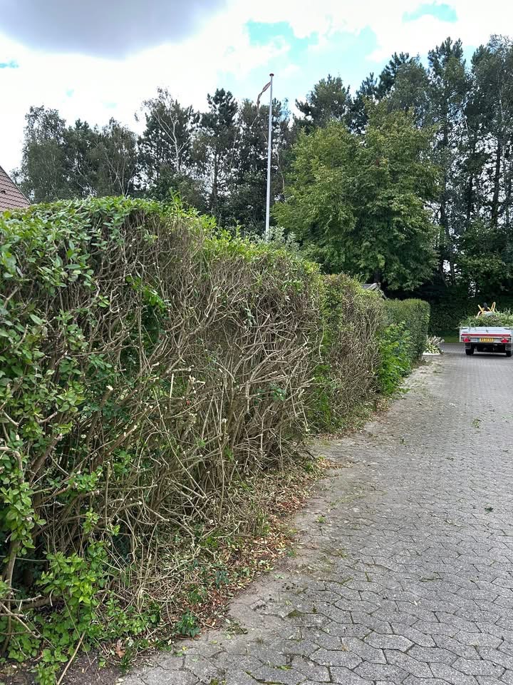Skarpe linjer efter klipning