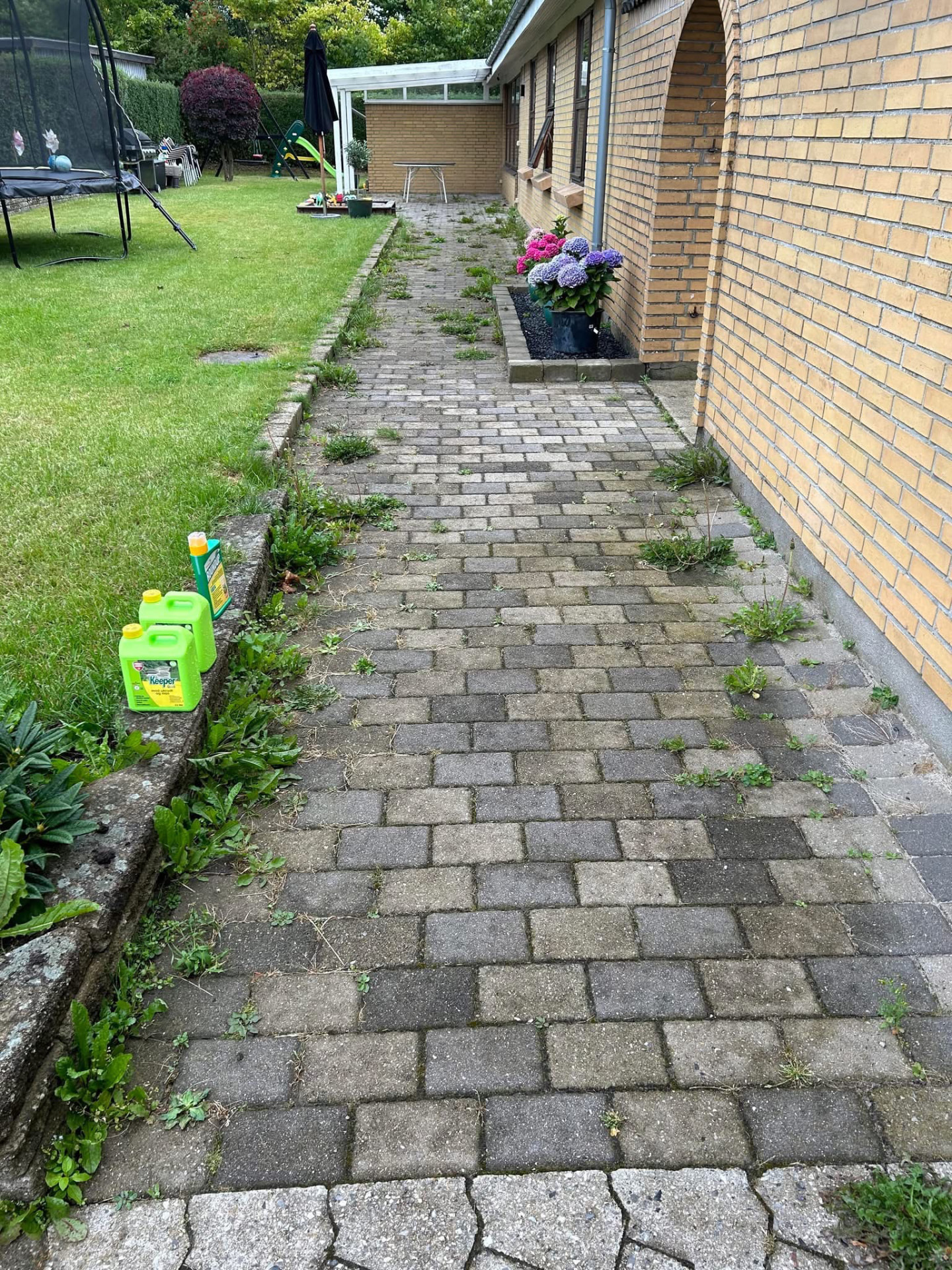 Fliser med ukrudt og snavs før fliserens